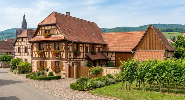 Photographie réaliste d'une maison ou bâtiment résidentiel à Mundolsheim, montrant une architecture typique de la région alsacienne avec des éléments locaux reconnaissables. La photo doit présenter une propriété en bon état, en lumière naturelle de jour, capable d'illustrer le cadre urbain ou péri-urbain du Bas-Rhin où l'entreprise de rénovation intervient. Pas de texte, logo ou filigrane visible. Image de qualité professionnelle.
